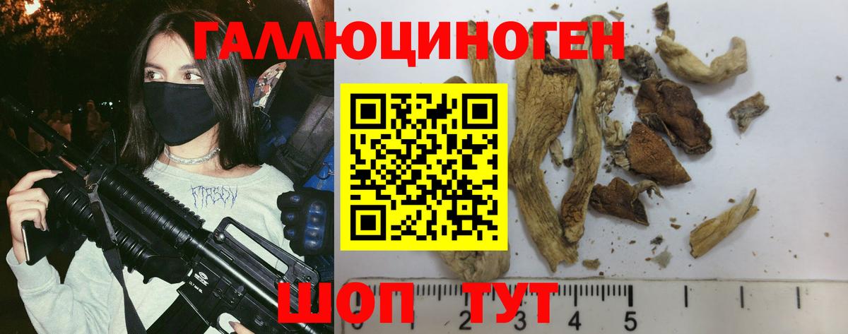 Галлюциногенные грибы Psilocybine cubensis  Галлюциногенные грибы мухоморы  Унеча  Вход с VPN 